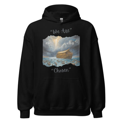 GENESIS 6:13-22 Hoodie