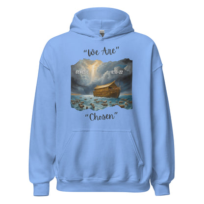 GENESIS 6:13-22 Hoodie