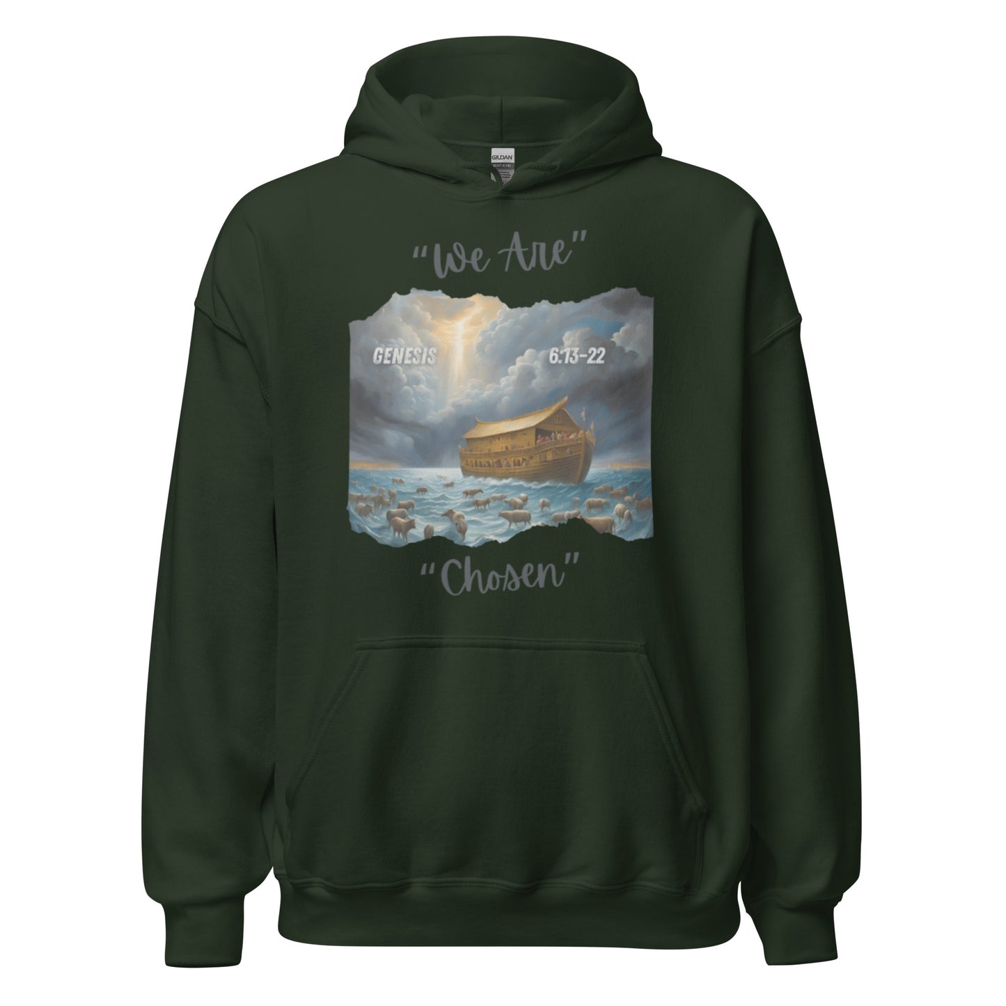 GENESIS 6:13-22 Hoodie