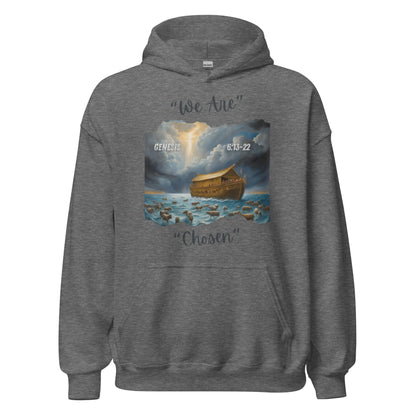 GENESIS 6:13-22 Hoodie