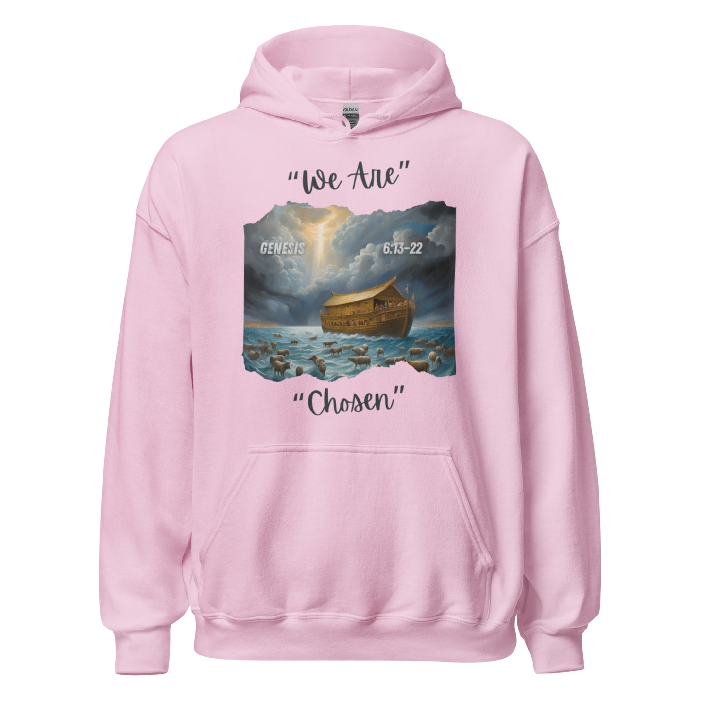 GENESIS 6:13-22 Hoodie
