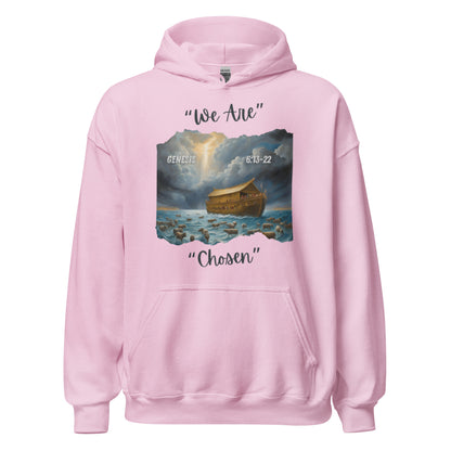 GENESIS 6:13-22 Hoodie