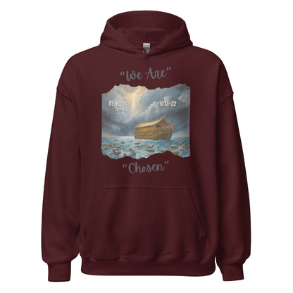 GENESIS 6:13-22 Hoodie